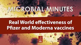 Real World effectiveness of Pfizer and Moderna vaccines - Microbial Minutes