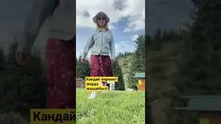 #алгакыргызстан #азизбатыровкыргызтан #бишкек