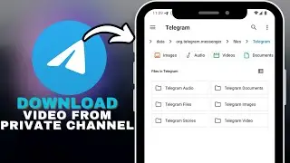 How to Download Video from Telegram Private Channel in SECONDS!