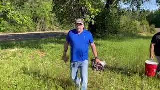 Baiting Wild Hogs With Mash #florida #adventure #hoghunting #pigs