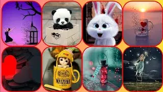 Popular Whatsapp Dp Images- Unique and Stylish Whatsapp dpz