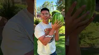 what watermelon looks like