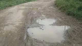 #vlog
