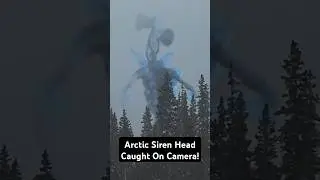 Arctic Siren Head Caught On Camera!