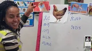 Amharic - Name the Pet Animals የቤት እንሰሳት