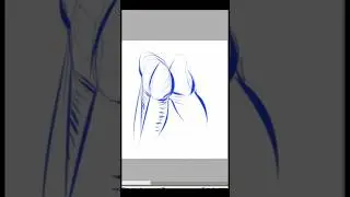 gluteal muscles) 