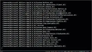 .Net Core manual installation for linux systems (regardless the distro)