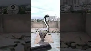 Dekhiae khatarnak saamp ne kiya bacche per hamla dekhiae aage kya hua #Nag #short #video 🐍😱🐍
