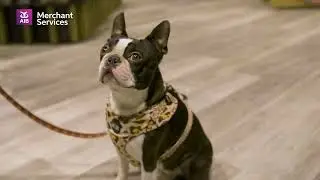 Time Well Spent - Powered by AIB Merchant Services | Episode 1: Anthony Gallagher, Petstop