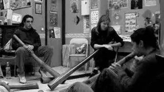 DIDGERIDOO HEMP INDOORS