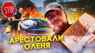 Открыл свою компанию в США | На чем ездят копы в Штатах | Олень выскочил под колёса