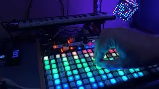 Jamuary 2024 4