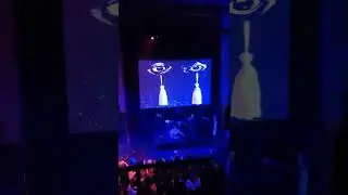 Совергон-Просто я хикка, СПб, 21.10.2022, Ласточка