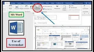 How to use Screenshot Option in MS Word? || How do I take a Screenshot of a Document in MS Word?