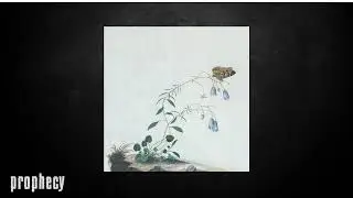 Botanist - Clematopsis