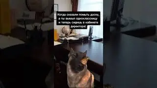 #егэ