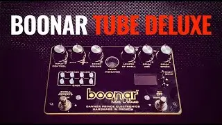 David Gilmour's Binson Echorec - Dawner Prince Boonar Tube Deluxe