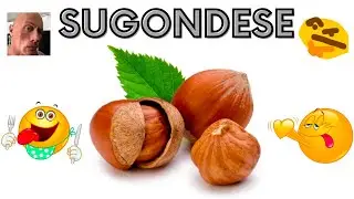 Sugondese nuts | Memetober #16