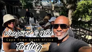 Adventures in Cape Town, South Africa 2024 -  Three Vineyards that you must experience