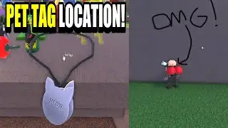 Wacky Wizards Robux Dahil Bütün İtemlerin Yerleri! (2021 En Güncel!)