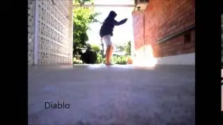 Diablo Gone Solo