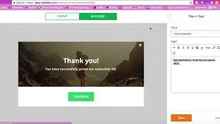 Mailerlite popup setup