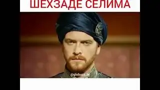 Султан выбрал шехзаде Селима