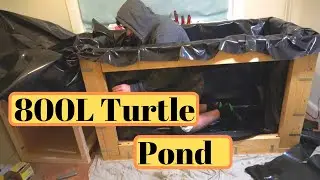 Indoor Turtle Pond Build - Part 1