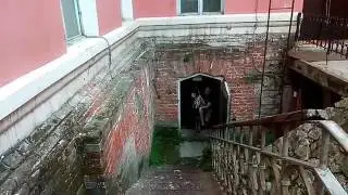 Титаны Возрождения