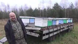 Итоги пчеловодческого сезон 2020 года. Пчеловодство видео