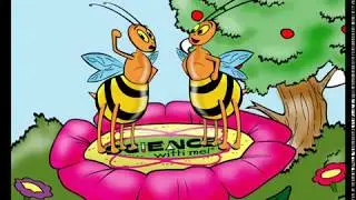 An Introduction to the Honey Bee | ScienceWithMe!