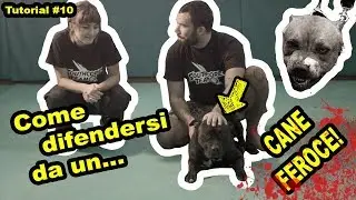 COME DIFENDERSI DA UN CANE FEROCE!tutorial!