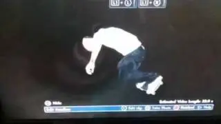Skate triumphs and falls