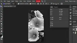 How to change values in Photopea