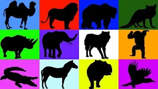 Zoo animals for kids - Learning animals