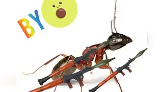 Ant War Trailer