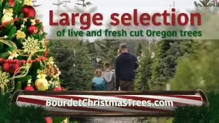 Bourdet Christmas Trees LLC V1