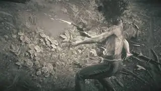 Red Dead Redemption 2 Butcher Creek Shoot Out