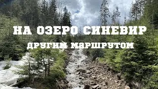 Бесплатная дорога на Синевир