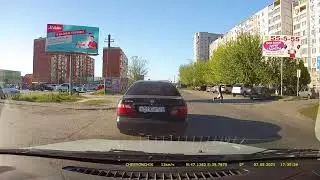 Собаки умнее некоторых пешеходов
