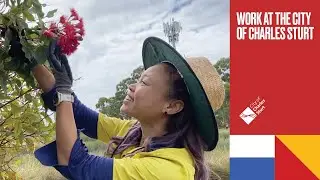 Work at the City of Charles Sturt