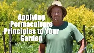 Applying Permaculture Principles to Your Garden