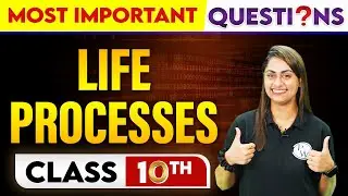 LIFE PROCESSES - Most Important Questions || Class - 10th