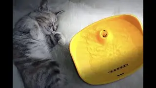 #nicovaer Бесшумный питьевой USB фонтан Космо для кошек, для собак NICOVAER