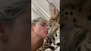 Поняла почему она не мурлыкала, почти пол года . Был воспалён сустав на задней ножке , болел (