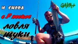 Ловля щуки!!!