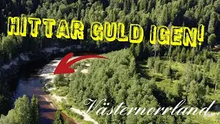 Hittar GULD i Västernorrland