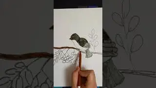Рисуем снегиря на ветке рябины фломастером