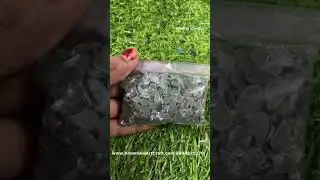 Ironing Stones