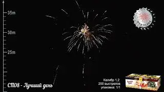 СП08   Лучший день